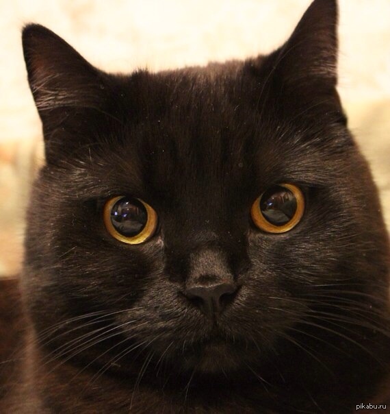 Ты следующий...