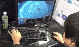        StarCraft?