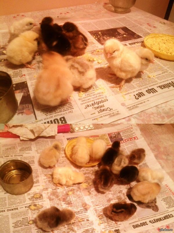 ��� ����� ��������� ������� ���������� ����� ^^