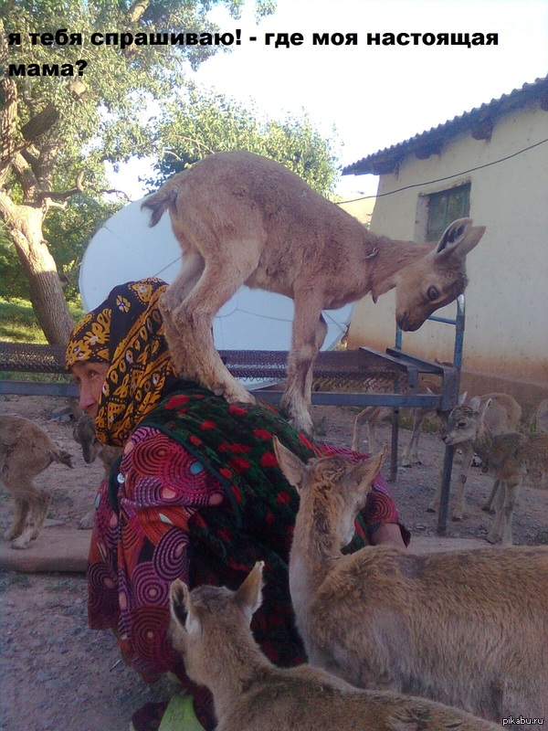 отвечай, где моя мама!