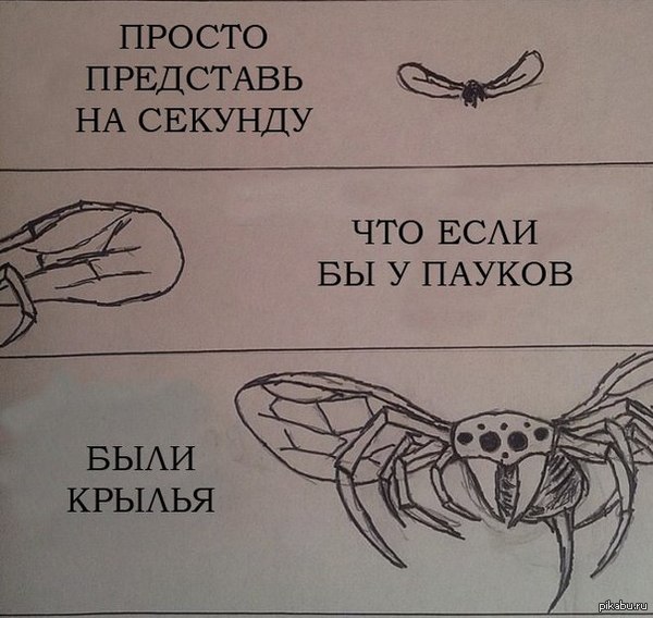 �������� ������