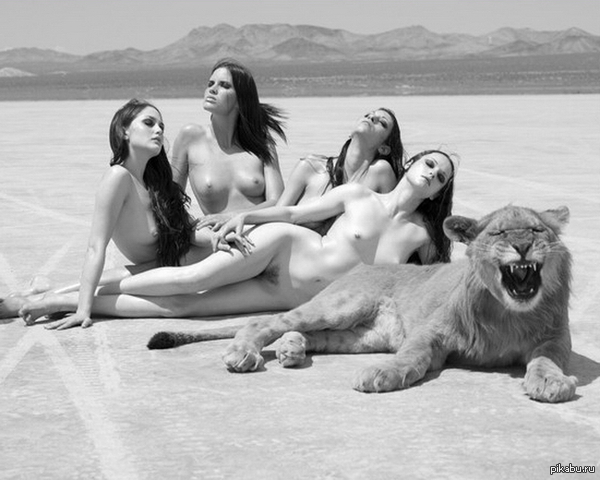 Everything according to the canons) - NSFW, Boobs, Naked girl, Erotic, cat, Black and white