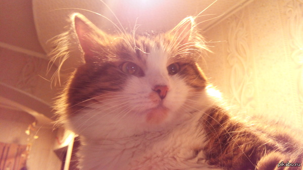 ��� ����. ����� ��������� ��������. ��������� ���� ��� ������� ������ (� ������� �� �������) ������� Ѹ��. ��� ������� ������ ����� ���...