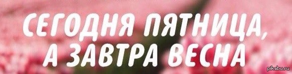 Чудесный момент!