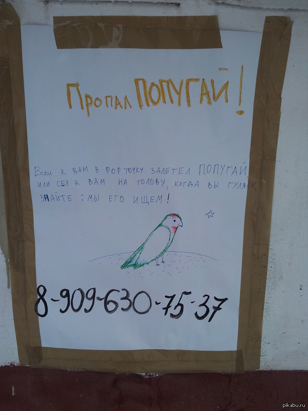 ������ �������!)))