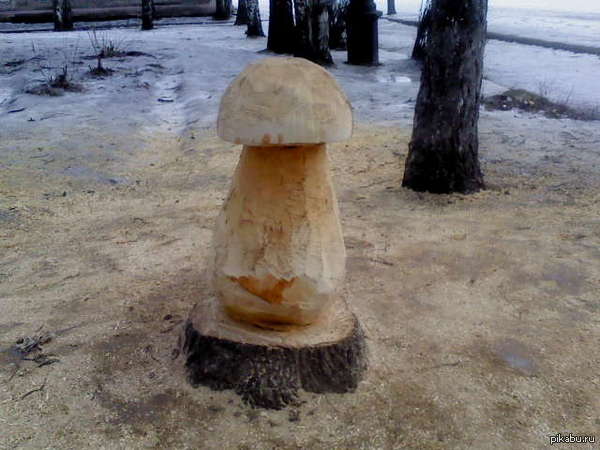 ��� ���� �������� �� ���������� �����