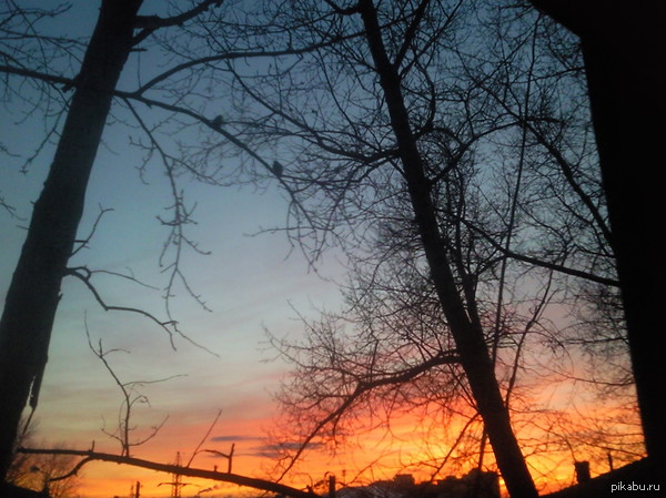 � ��������� ���� "��"