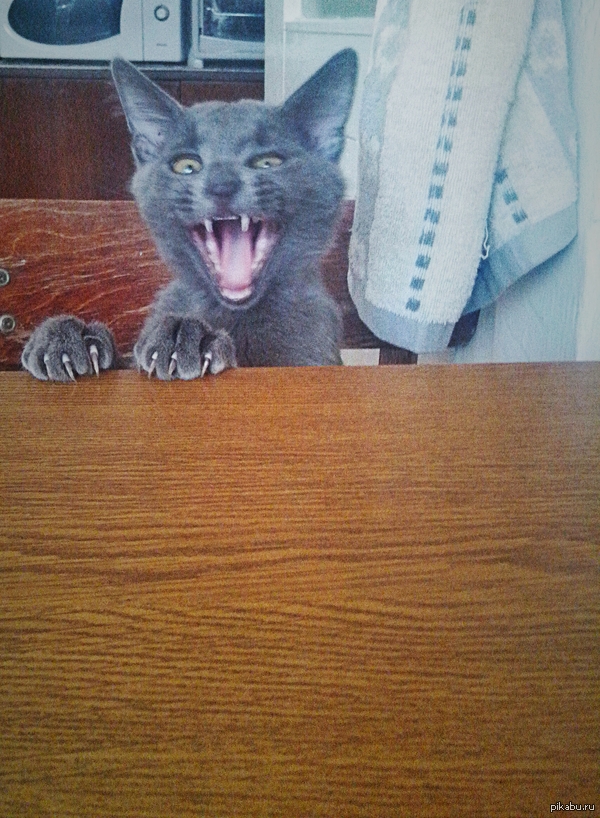 ��� ������������ ���))