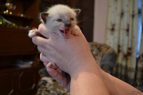 ��� ����� ������� ��������� � ����=))