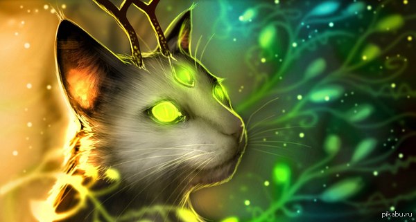  &quot;-&quot; : Jadeitor   ,      .