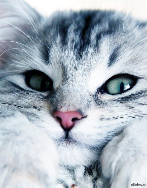 ������� �������! -.-