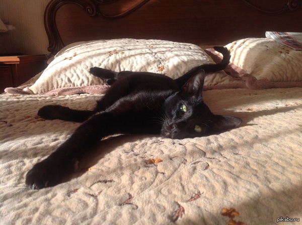 ��� 5 ��. ����