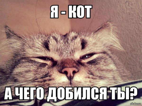    :)