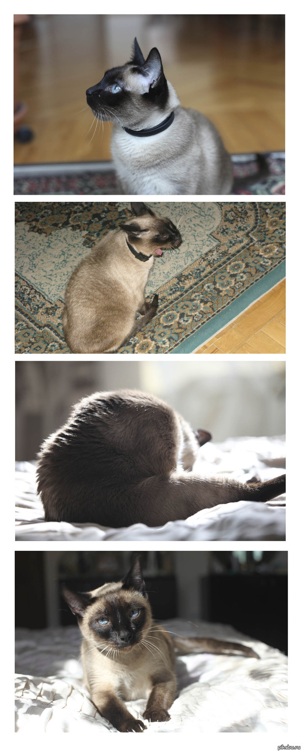 А это моё чудо. 9 лет