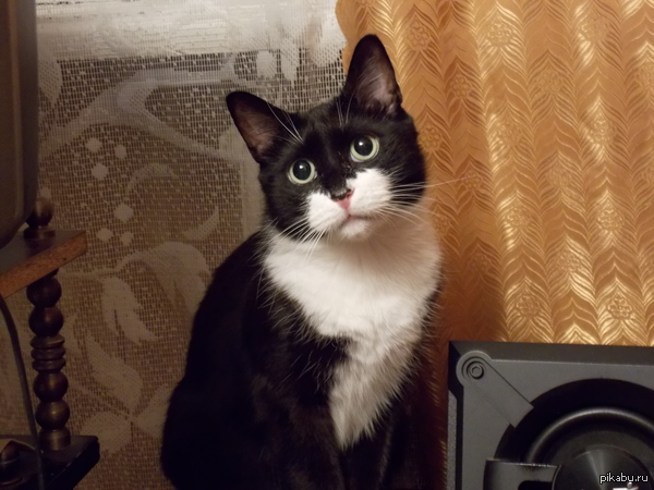 � ��� ��� �����))