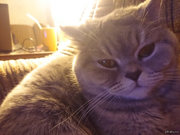 �������� ����� ��� ������