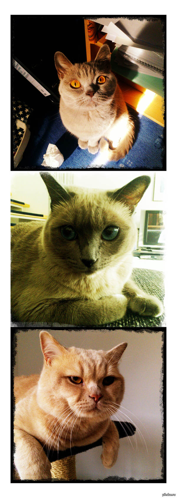 ��� �� ����� ����� ������