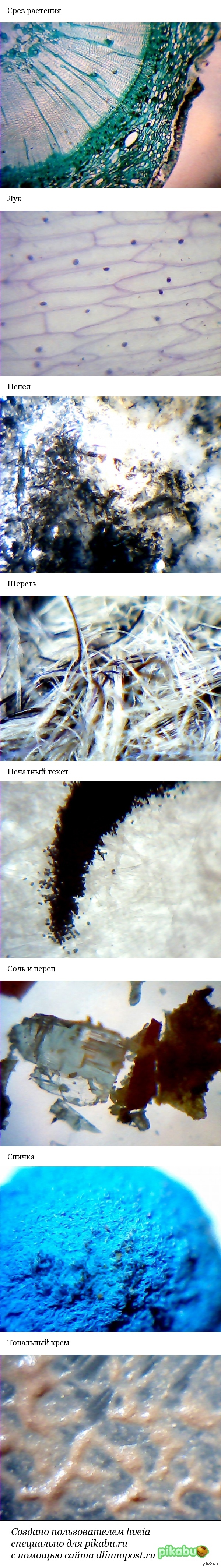 Microworld2 - My, Microscope, Longpost, Interesting