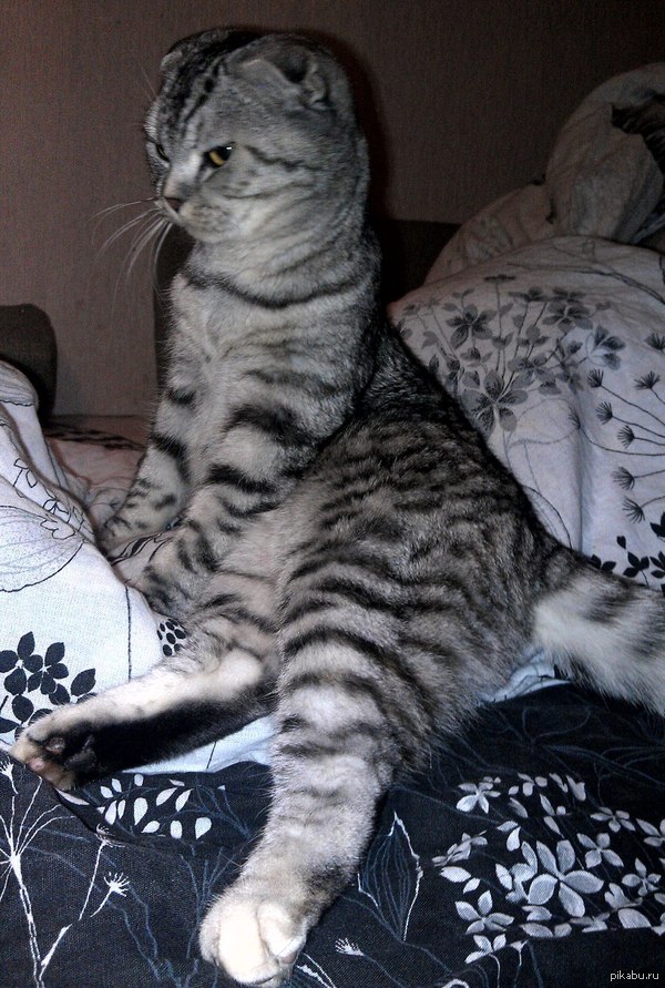 ��� ��� �����)))