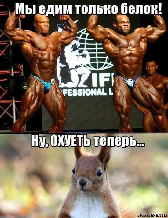 Спорт пит) | Пикабу