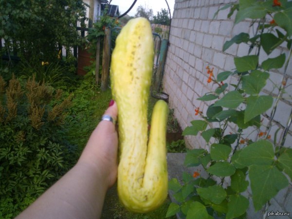    )))        )  ?