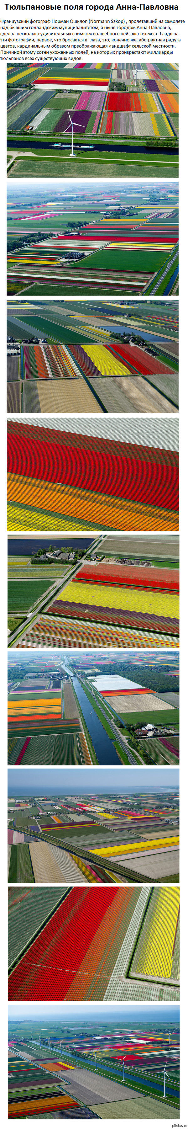 ����������� ����