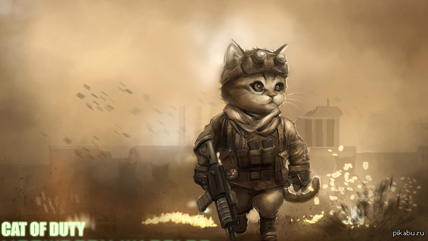 Call of Duty Cat's Warfare 