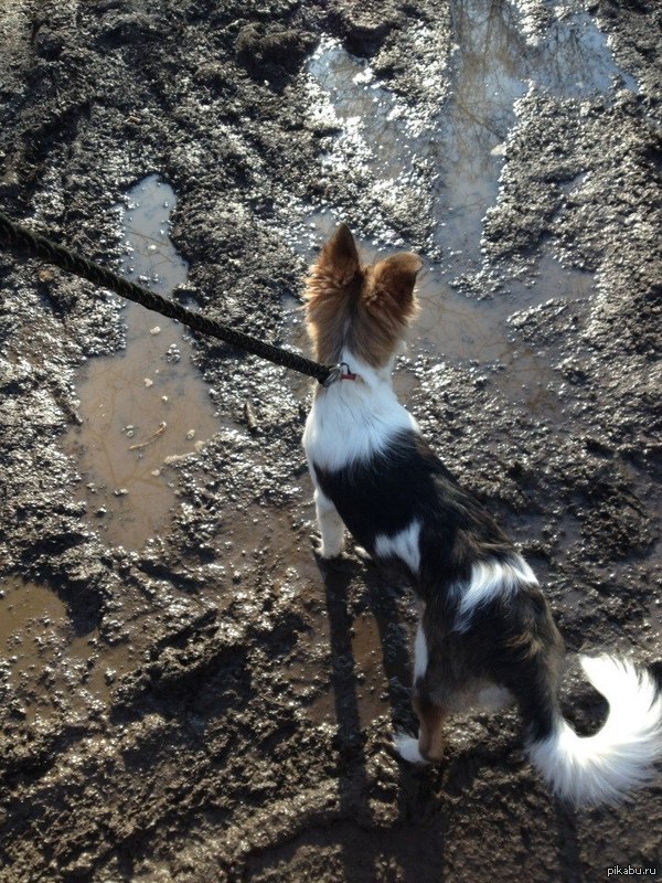 ����� �����