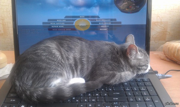 ���������.