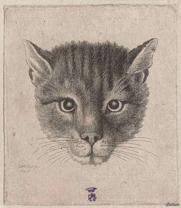 любимый кот царя Алексея Михайловича всея Руси.