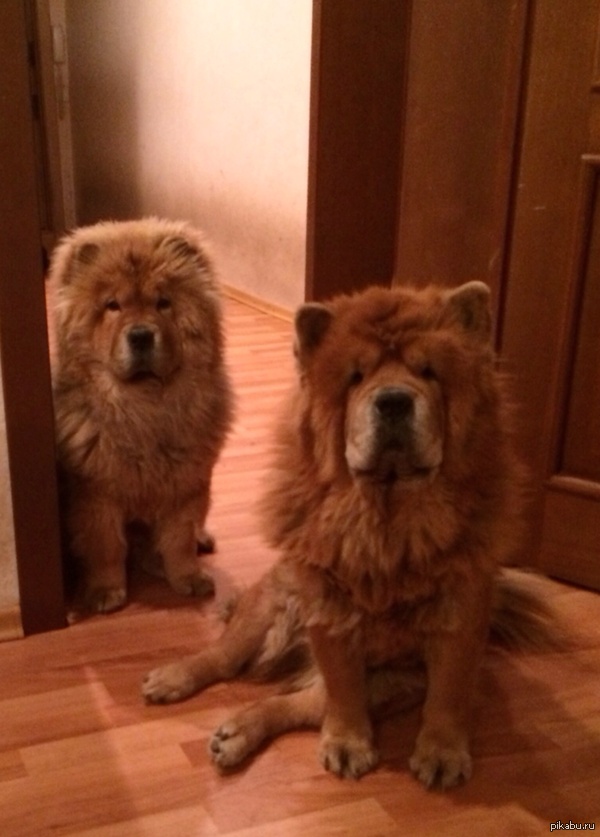 ������ ���� :)