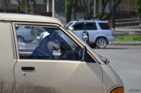 ������� �������������� �������