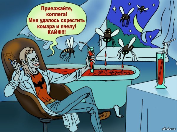 Изобретательный вампир | Пикабу