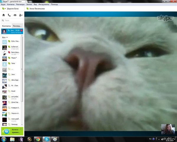 Я отошла от ноутбука буквально на минуту