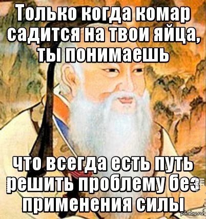 Все решается силой. Когда комар сел на твои яйца Конфуций. Конфуций цитаты приколы. Только когда комар садится. Только когда комар сядет тебе на яйца.