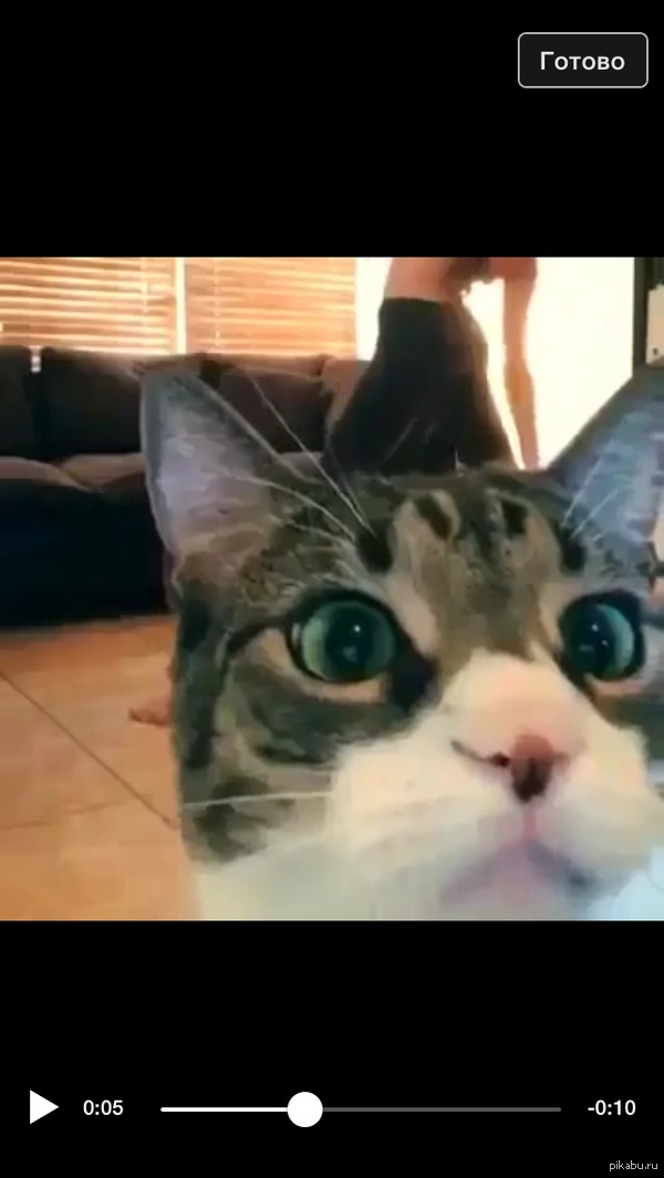 That awkward moment..