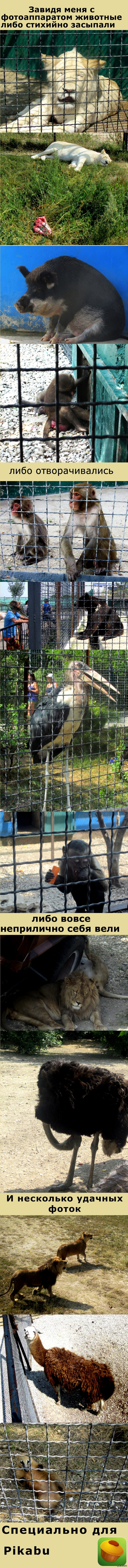 �������� �� ��������