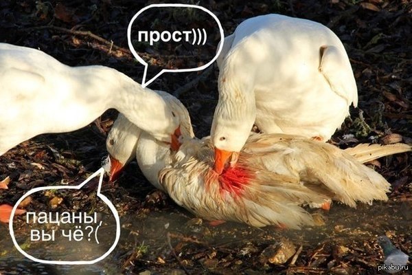   )) 