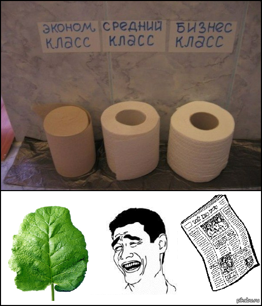 Пикабу юмор картинки