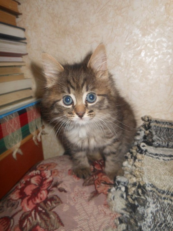 Хочу поделиться своим счастьем.Плюсы можете не савить, просто я счастлив.