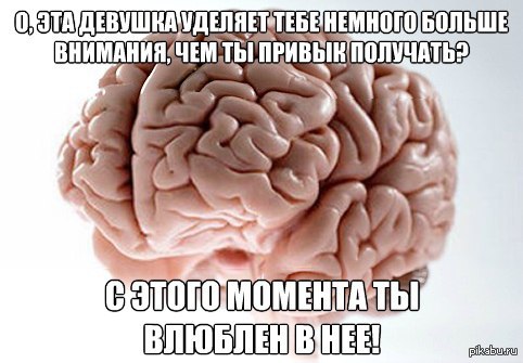 Жизненно ( - Любовь, Мозг, Вынос мозга, Тупоймогз, Печаль, Жизненно