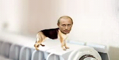 Гиф Путин Танцует