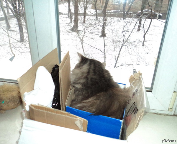 ��� ��� �������� �����, � �������, ��������� �� ��������....