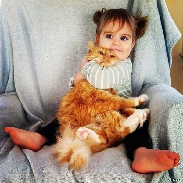 ������ ���..