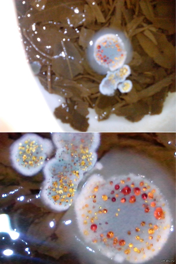 ������� � ���