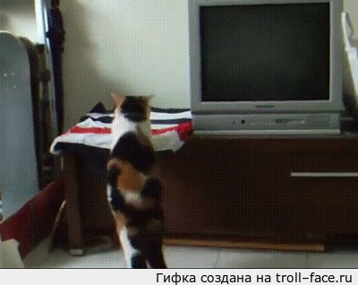   1,2,3... 