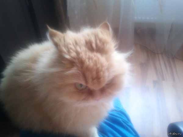 Убийственный взгляд