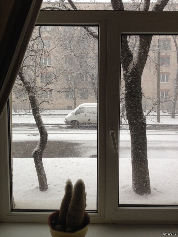 ����� � �����-����������