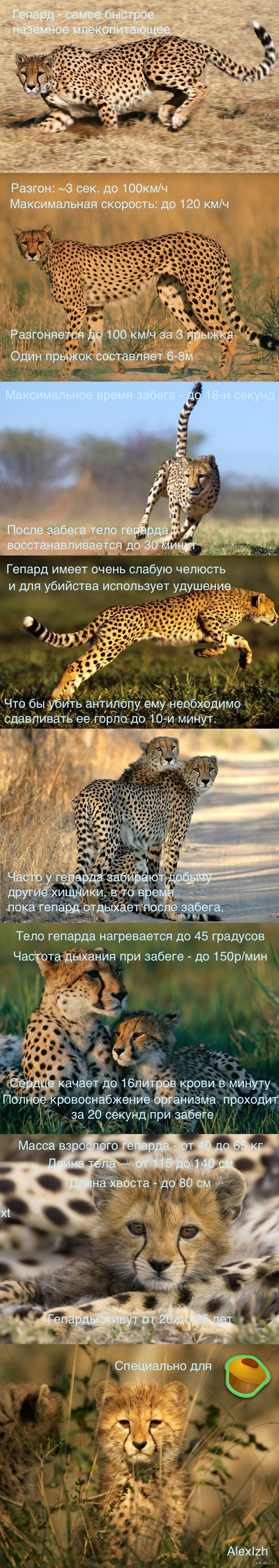 � �������� � ������