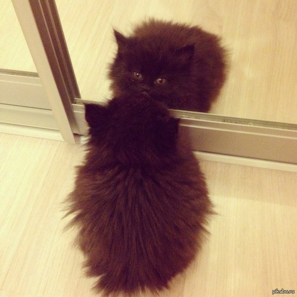   ) ,  )   - , !  ,    )